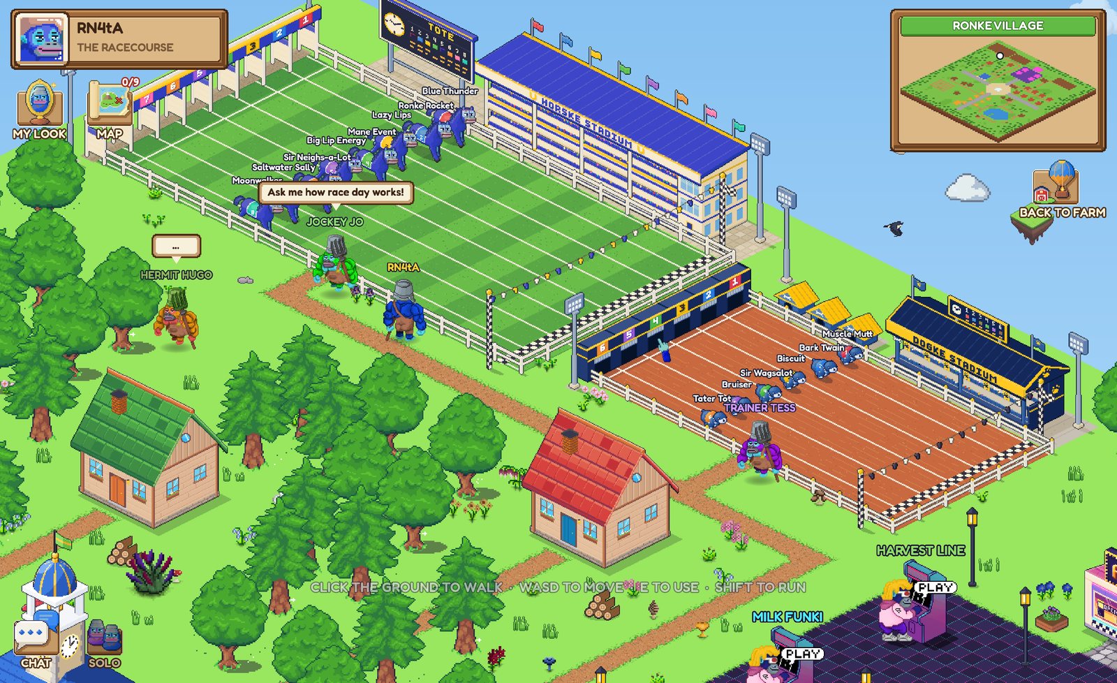 The Horske Stadium and the Dogke Stadium side by side north of the village
